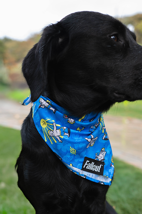 Fallout Wasteland Companion ペットバンダナ(3枚セット)