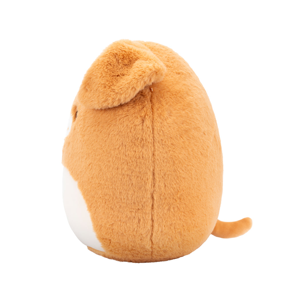 Squishmallows 12インチぬいぐるみ （Stevon/スティーボン）