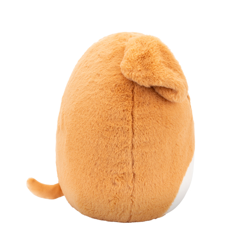 Squishmallows 12インチぬいぐるみ （Stevon/スティーボン）