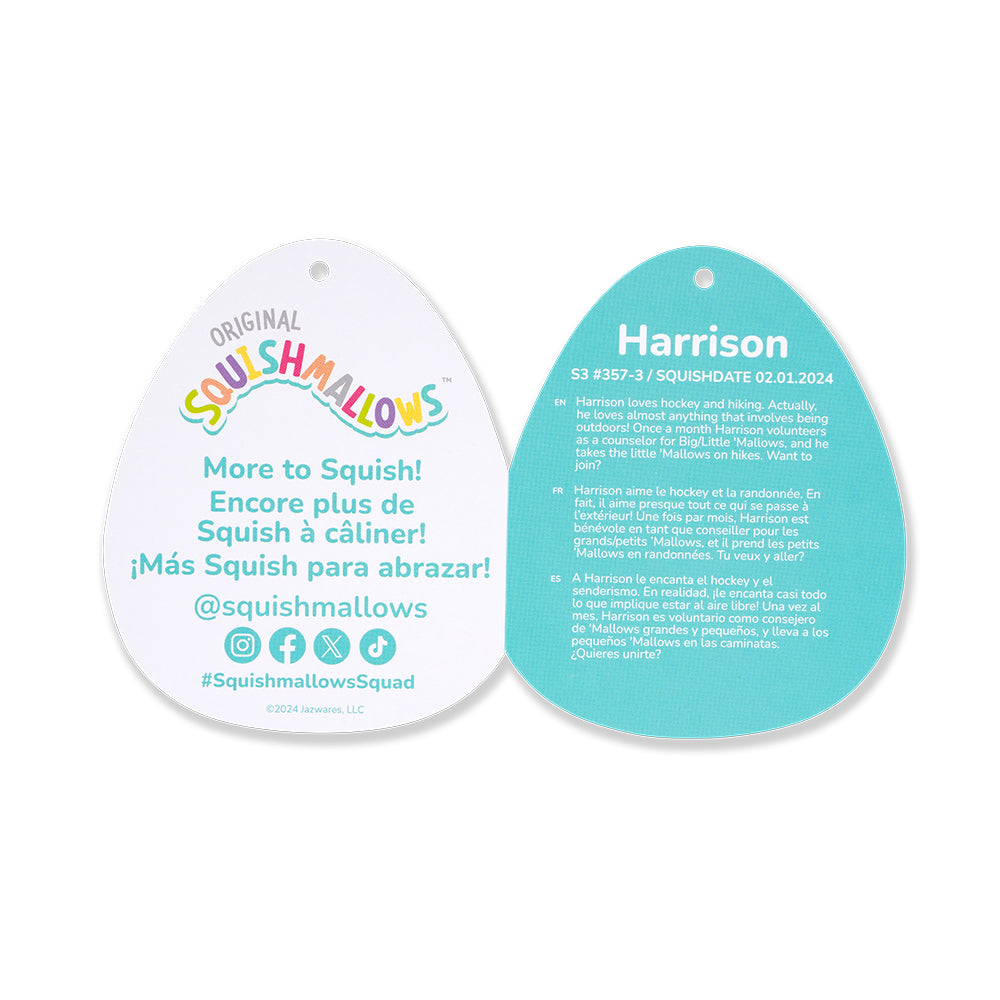 Squishmallows3.5インチぬいぐるみキーホルダー （Harrison /ハリソン）