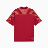 ユニセックス PUMA x ハリーポッター リラックス FO トップス Dark Crimson